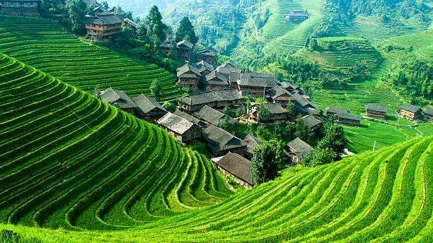 Longsheng — Rizieres en terrasses, Vol vers Shanghai - Photo 1